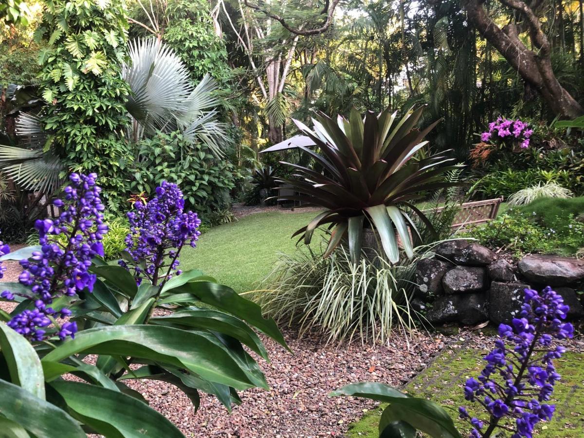 伊甸园休憩住宿加早餐旅馆 Cooroy 外观 照片