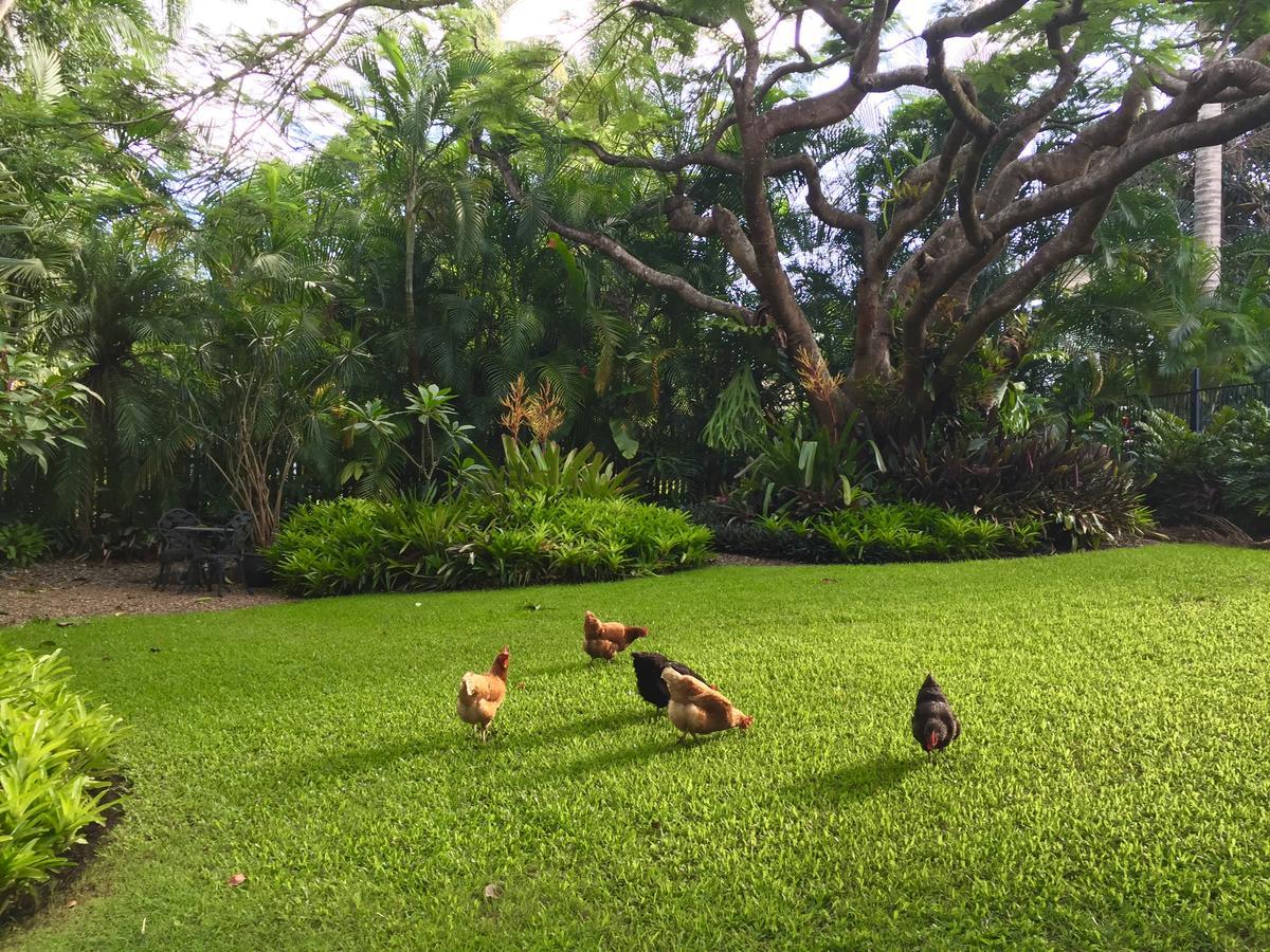 伊甸园休憩住宿加早餐旅馆 Cooroy 外观 照片